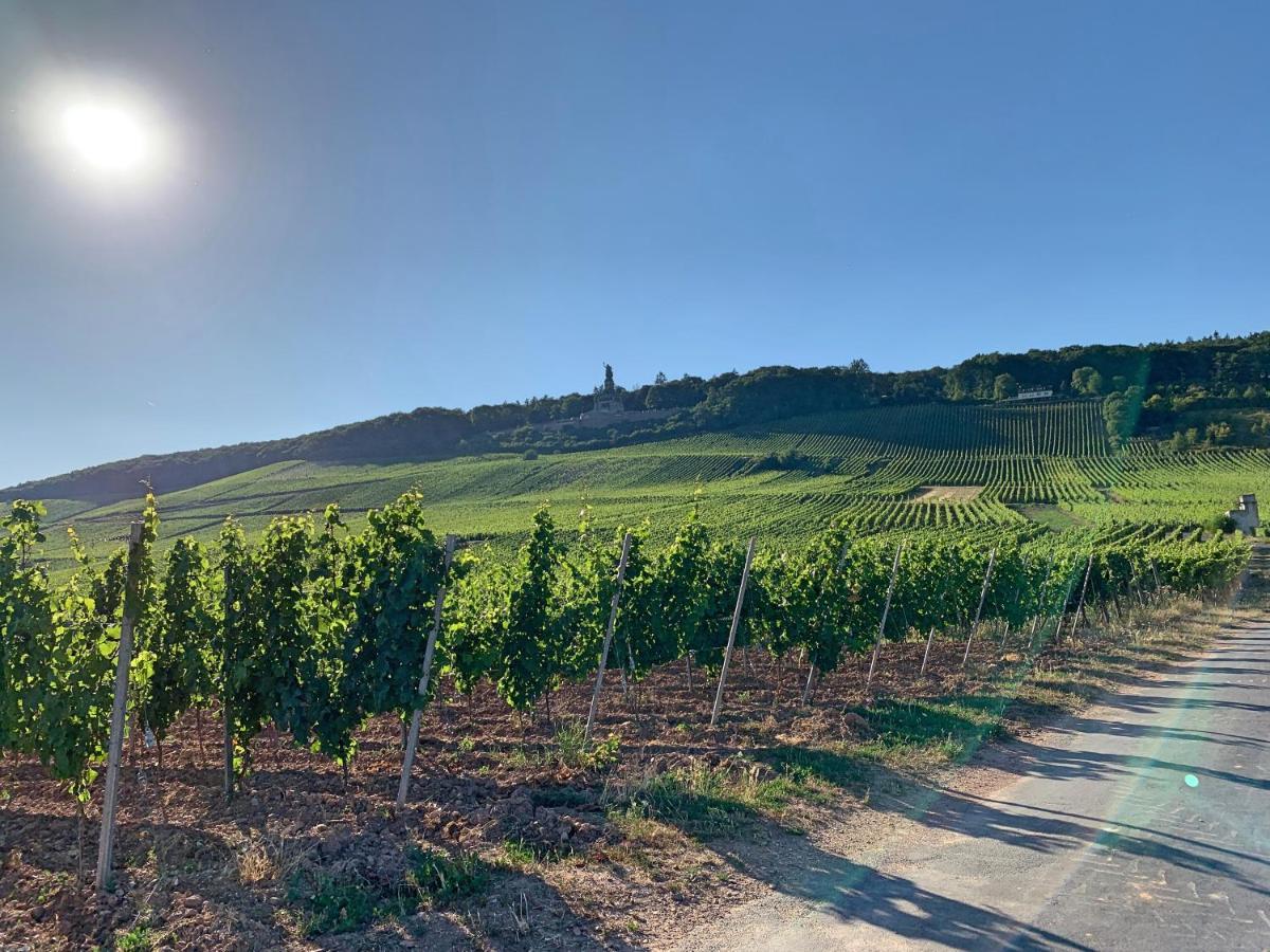 Appartement Zum Malerwinkel - Ruedesheim Rüdesheim am Rhein